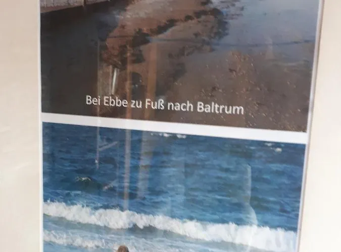 Familienurlaub In Ostfriesland Fuer Max 7 Pers In 2 Wohnungen, Auch Einzeln * Utarp